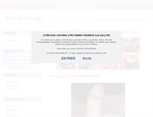 Tablet Screenshot of mr-bite.com